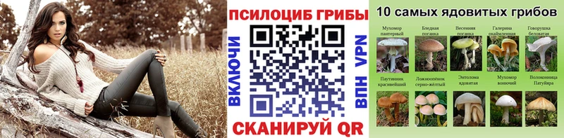 Галлюциногенные грибы MAGIC MUSHROOMS  цены   мега tor  Калач-на-Дону 