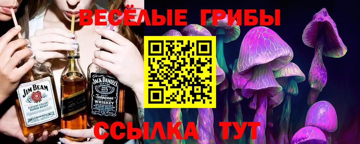 АМФЕТАМИН кристаллы  ГАШИШ  COCAIN  Alpha PVP СОЛЬ   Меф МЯУ МЯУ  Меф   Калач-на-Дону  Каннабис  Вход с VPN 